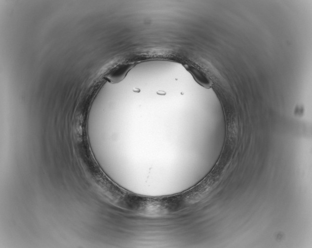 X0000093360264200711011213