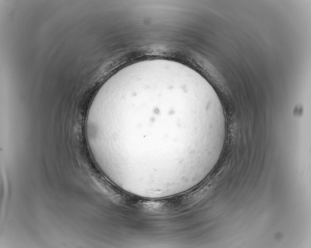 X0000093360265200711011213