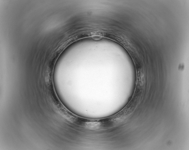 X0000093360266200711011213