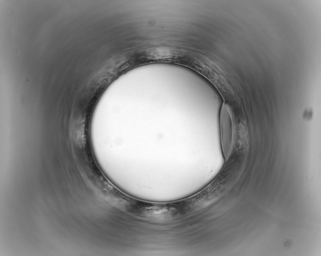 X0000093360267200711011213