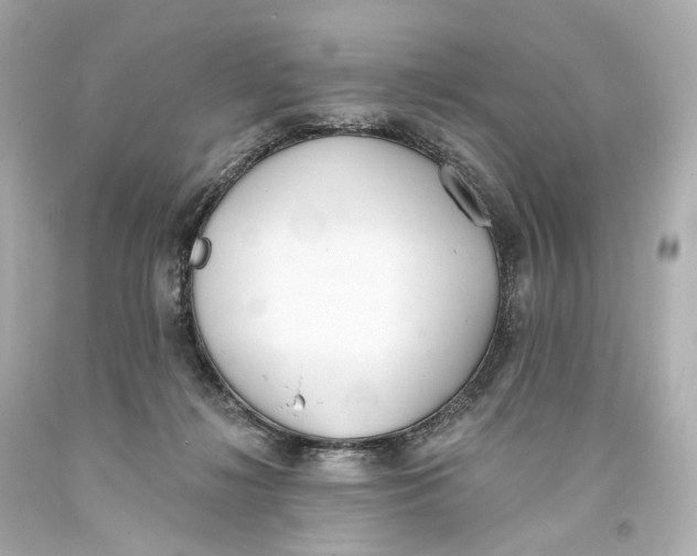 X0000093360268200711011213