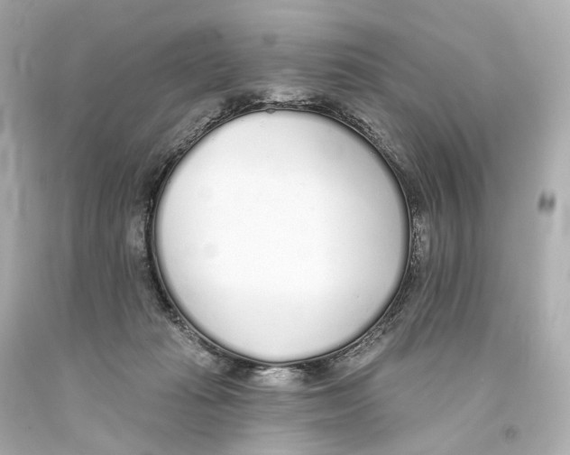 X0000093360269200711011213