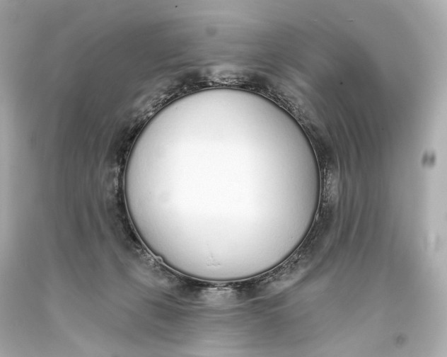 X0000093360271200711011213