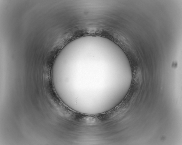 X0000093360272200711011213