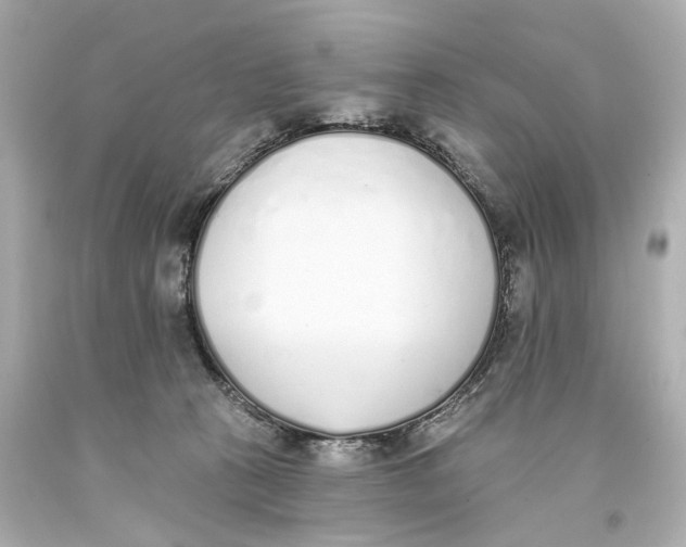 X0000093360273200711011213