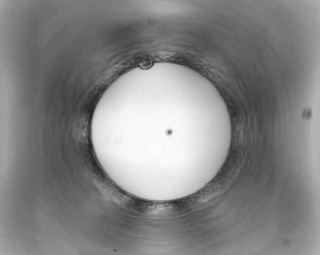 X0000093360274200711011213