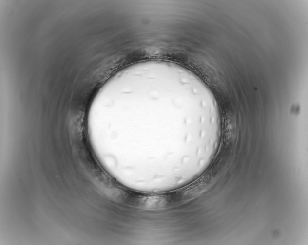 X0000093360275200711011213