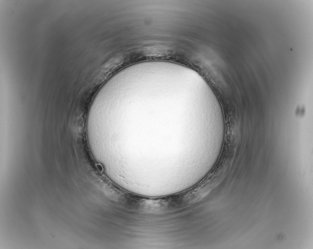 X0000093360277200711011213