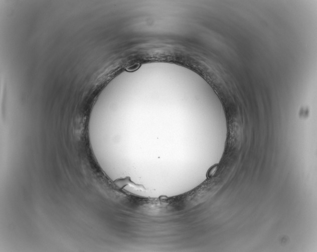 X0000093360278200711011213