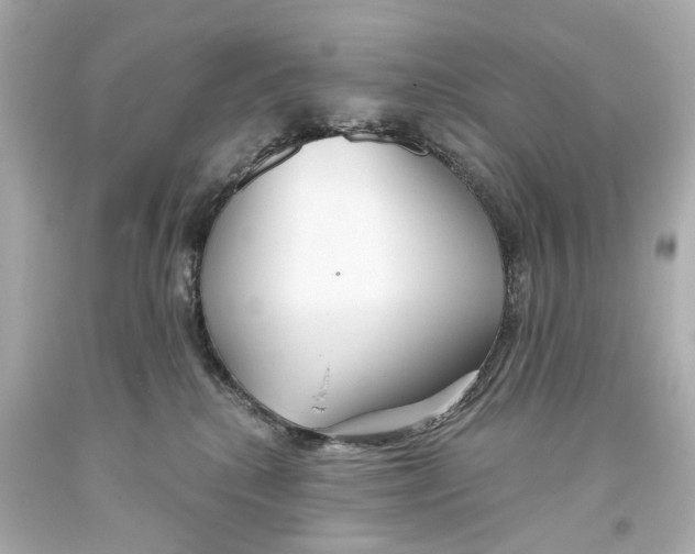 X0000093360280200711011213