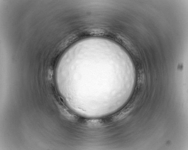 X0000093360281200711011213