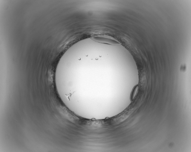 X0000093360282200711011213