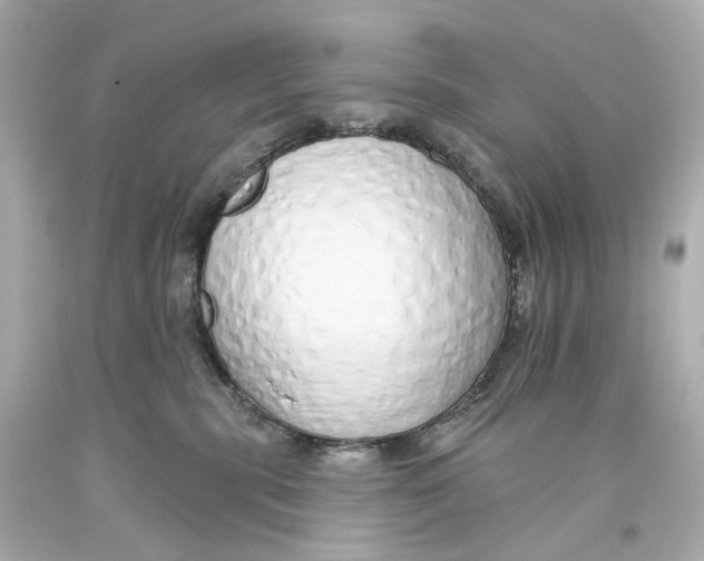 X0000093360283200711011213