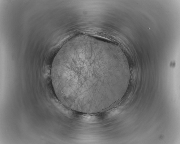 X0000093360284200711011213