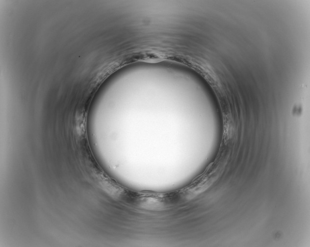 X0000093360285200711011213