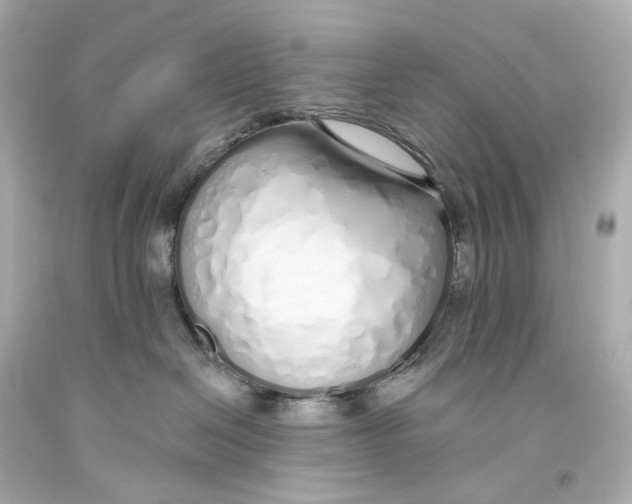 X0000093360286200711011213