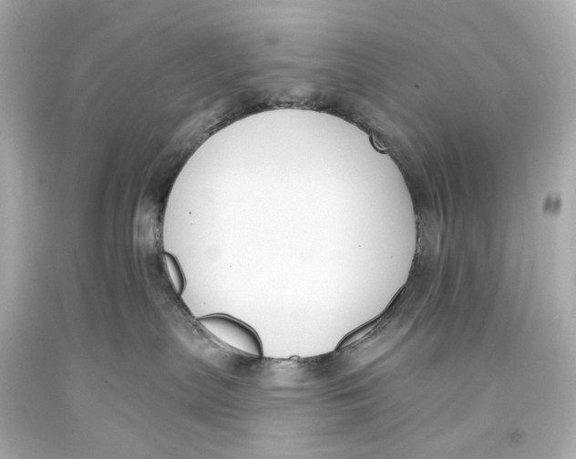 X0000093360287200711011213