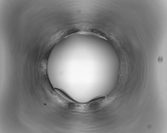 X0000093360288200711011214