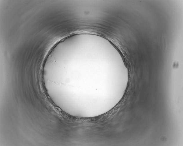 X0000093360289200711011213