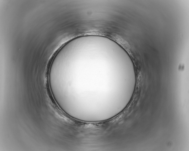 X0000093360290200711011213