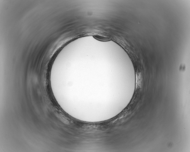 X0000093360291200711011213