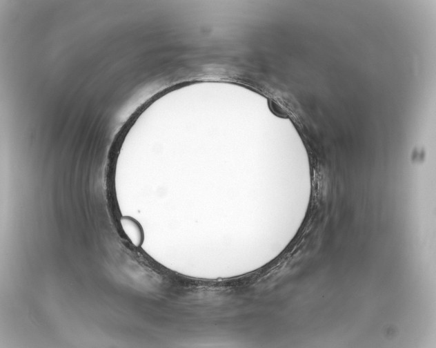 X0000093360292200711011213