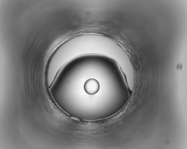 X0000093360293200711011213