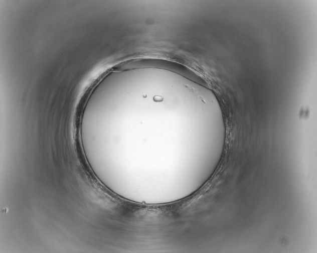 X0000093360294200711011213