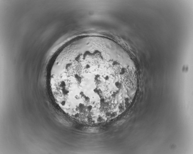 X0000093360295200711011213