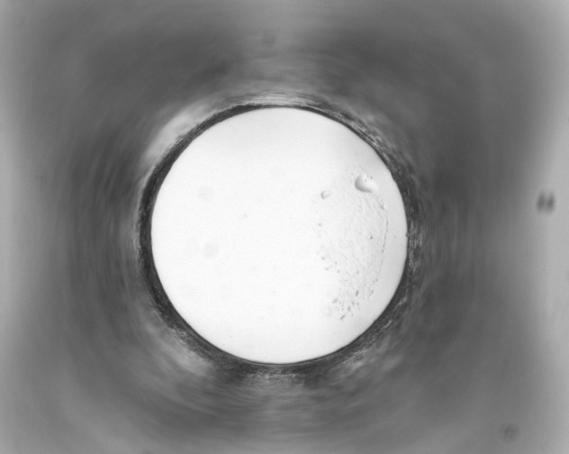 X0000093360296200711011213