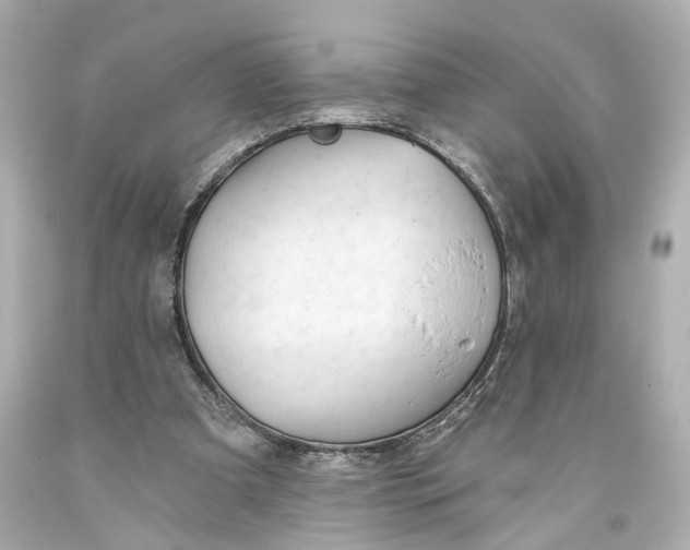 X0000093360297200711011213