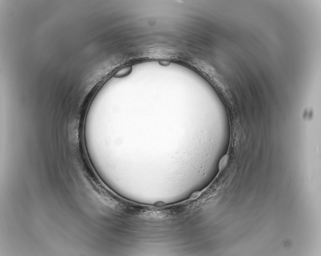 X0000093360299200711011213