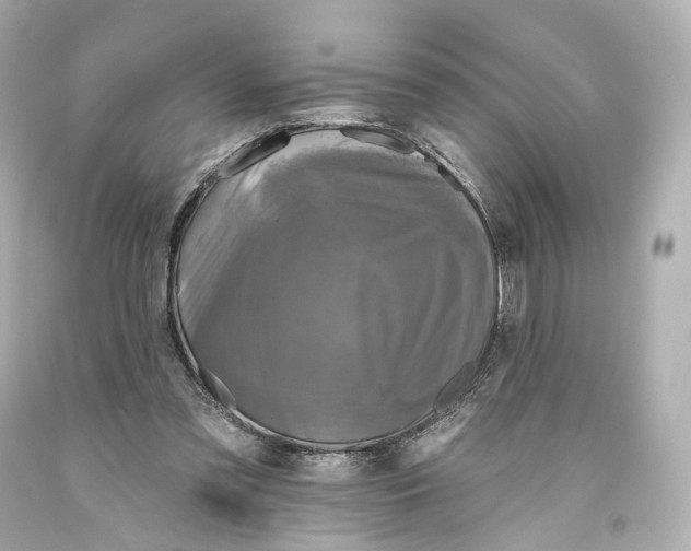 X0000093360301200711011213