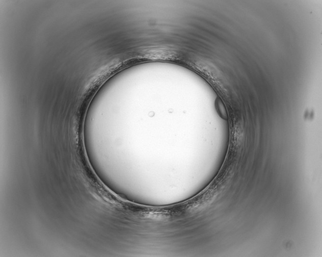 X0000093360303200711011213