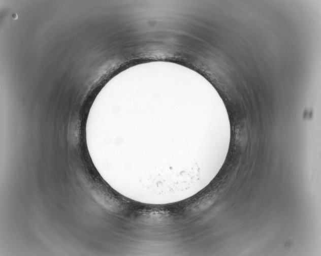 X0000093360304200711011213