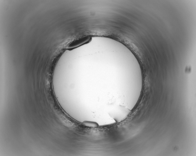 X0000093360305200711011213