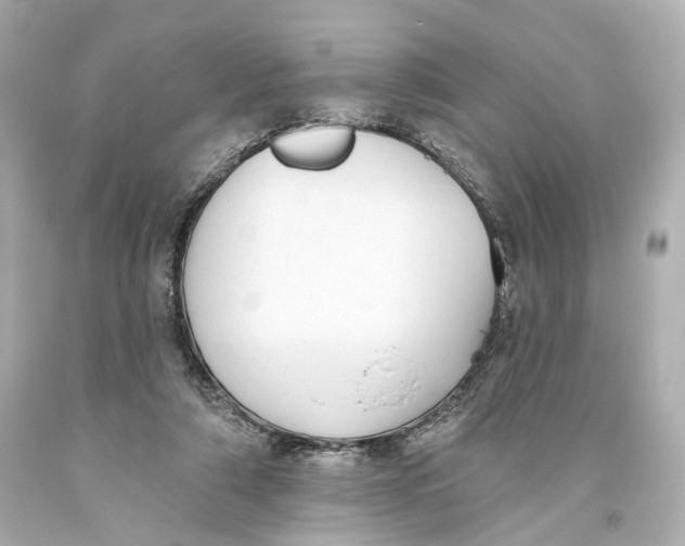 X0000093360306200711011213