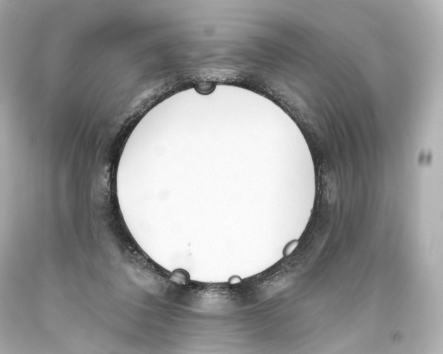 X0000093360308200711011213