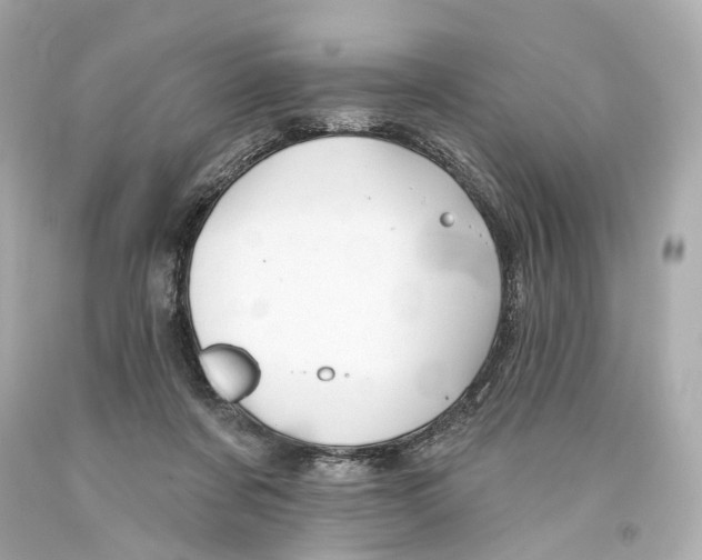 X0000093360311200711011213