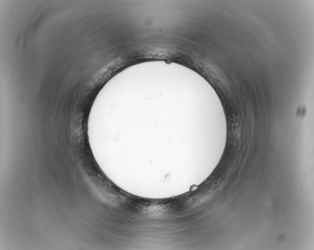 X0000093360312200711011213