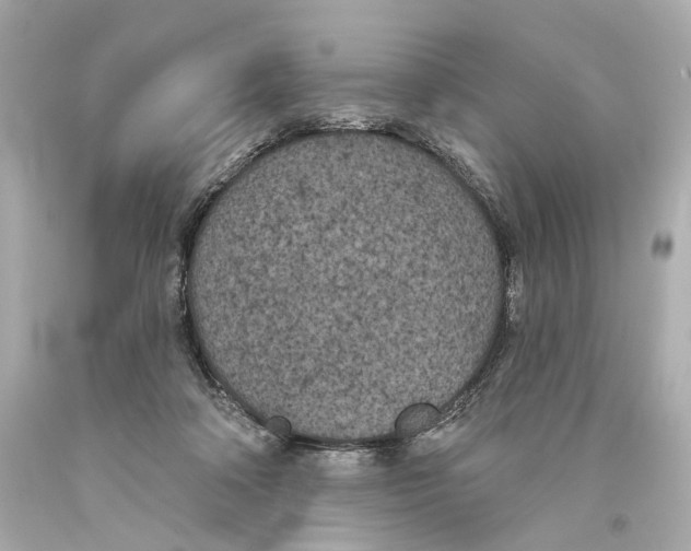 X0000093360314200711011213