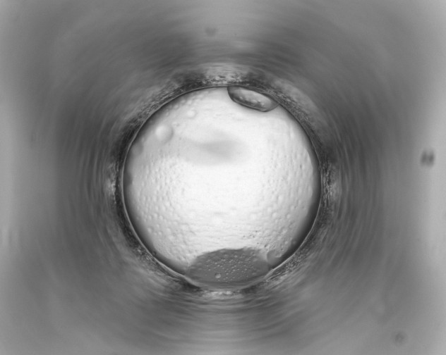 X0000093360315200711011213