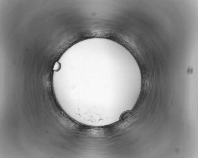 X0000093360317200711011213