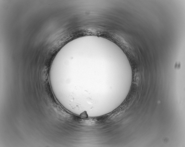 X0000093360318200711011213