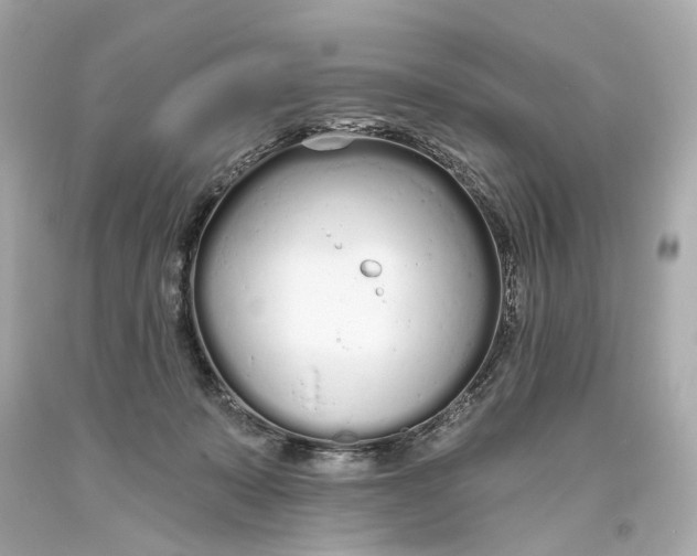 X0000093360319200711011213