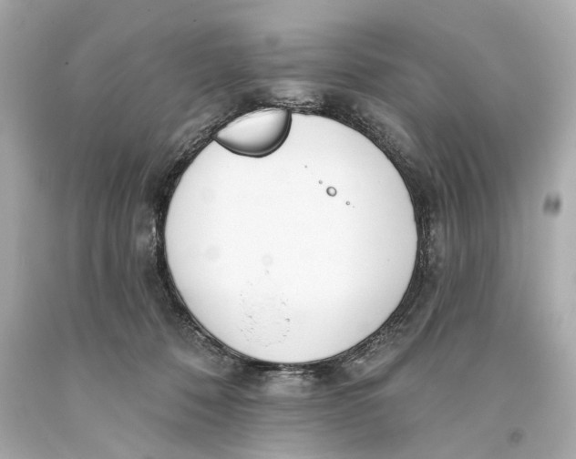 X0000093360320200711011213