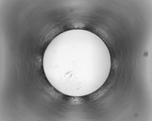 X0000093360321200711011213