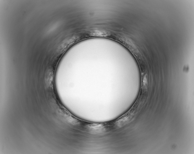 X0000093360322200711011212