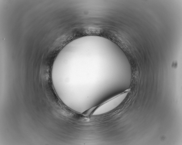 X0000093360323200711011212