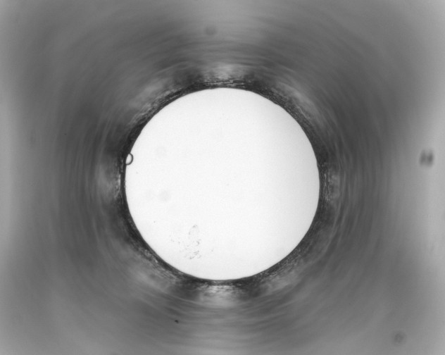 X0000093360324200711011212